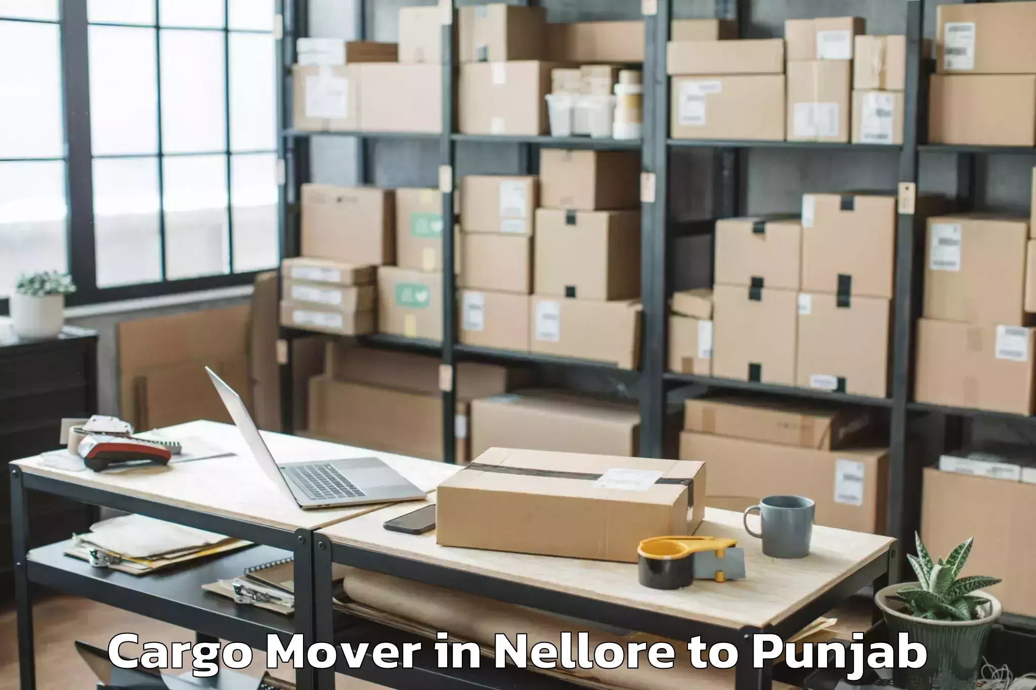 Top Nellore to Chitkara University Punjab Pun Cargo Mover Available